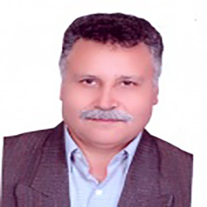 محمد حسینی 